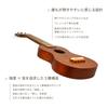 Soprano Ukulele with Soft Case In Mahogany Famous FS-0 (Usulele) (Made Japan, Wood)