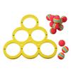 Water Sports  with 10 Rainbow Balls Floating Pool Water  Floating  Ring for Kids Adults Swimming Pool Water Game