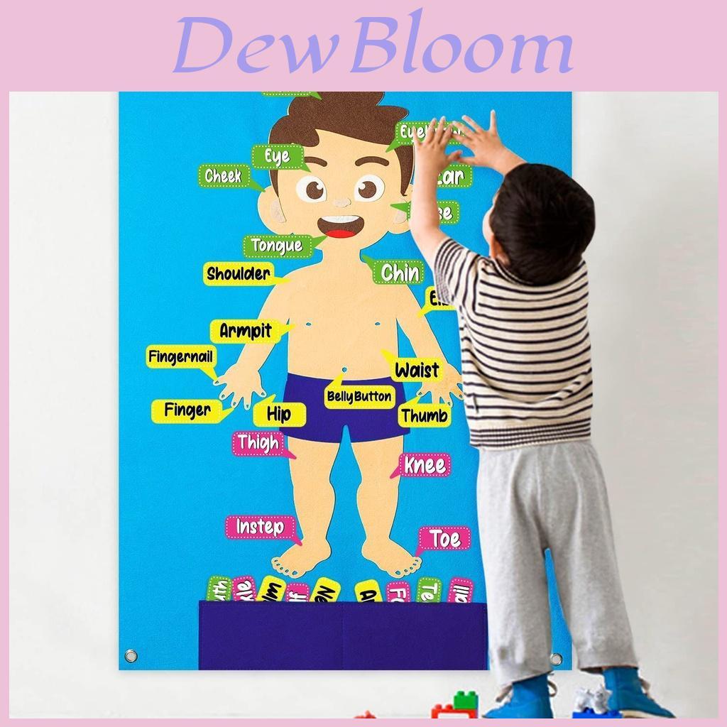Puzzle Board Struttura Corporea in Feltro per Bambini con Immagini degli Organi