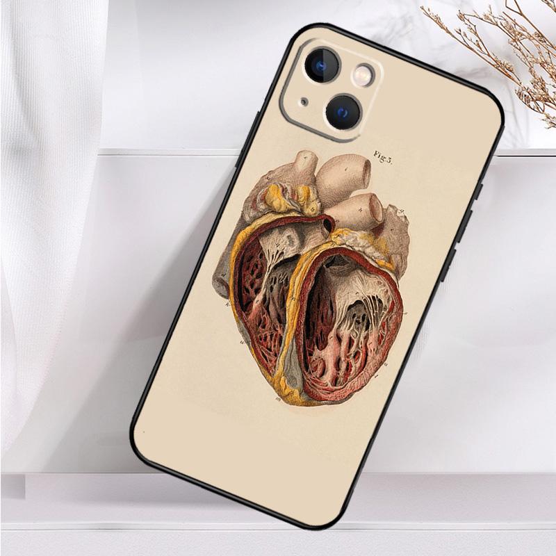 Menschliche Anatomie Stoßfeste Hülle Für iPhone 17 15 16 Pro Max 11 14 Plus 12 13 Mini 16e 17 Air Handyhülle