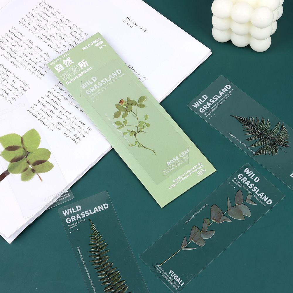 Note Marker Leaf Vein Specimen Bookmarks Bookmarks Card Nature Plants Bookmarks Translucent Flower