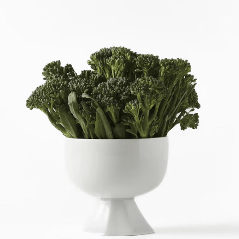 Mujagi Minimalist Ceramic Bowl