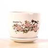 Extra Large Ceramic Flower Pot with Saucer for Succulents and Orchids, Creative Balcony Gardening Stand.