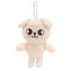 10CM Stray Kids Plush Toy Korean Celebrity Surrounding Doll Fan Collection Doll Children's Festival Gift