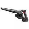Rechargeable Lithium Blower for Industrial & Car Dust Removal CN Plug (adapter Included)