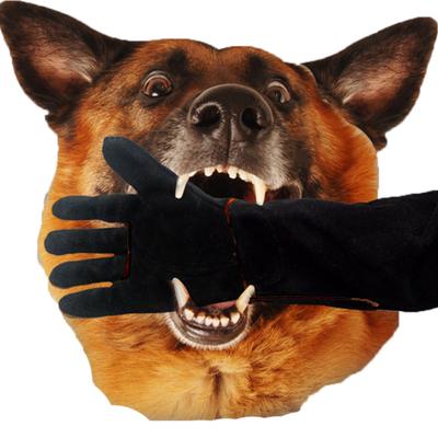 Handschoenen ter voorkoming van hondenbeten voor het trainen van katten en honden, handbescherming voor het trainen van huisdieren, 1 stuk, zwart