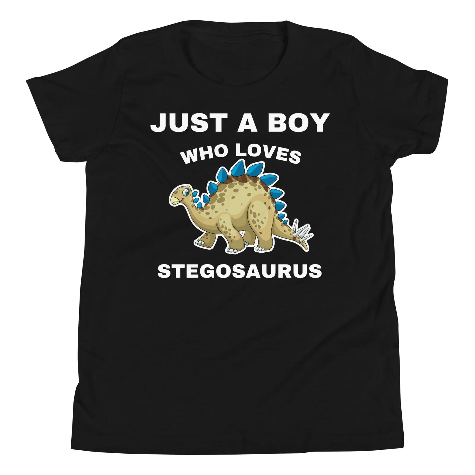 Just A Boy Who Loves Stegosaurus Funny Dinosaurs Lover Youth T-Shirt 100
