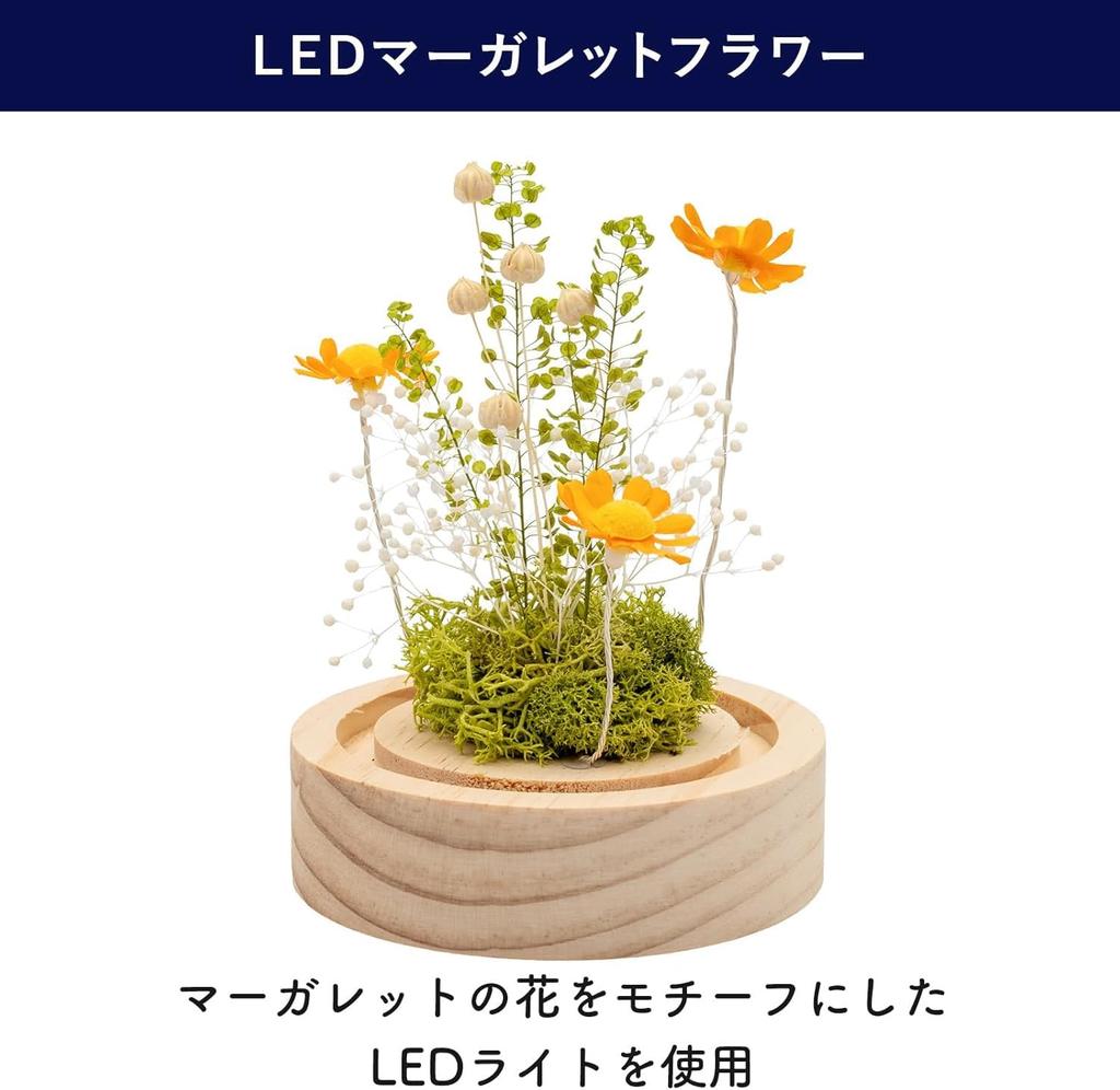 PD COLLECTION Preserved Flowers - Daisy (Japanese-made) with LED Light - Flower Gift, Present, Gift for Celebrations, Birthdays, Anniversaries,