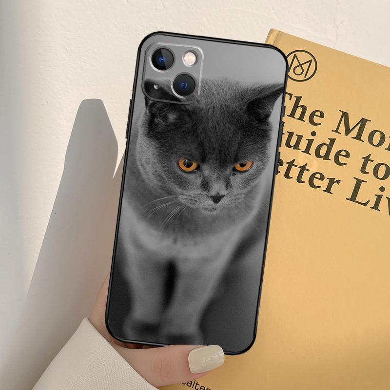 British Shorthair Cat Phone Case For iPhone 17 16 15 14 11 12 13 Pro Max Mini XR 16e 15 16 Plus 17 Air Full Cover