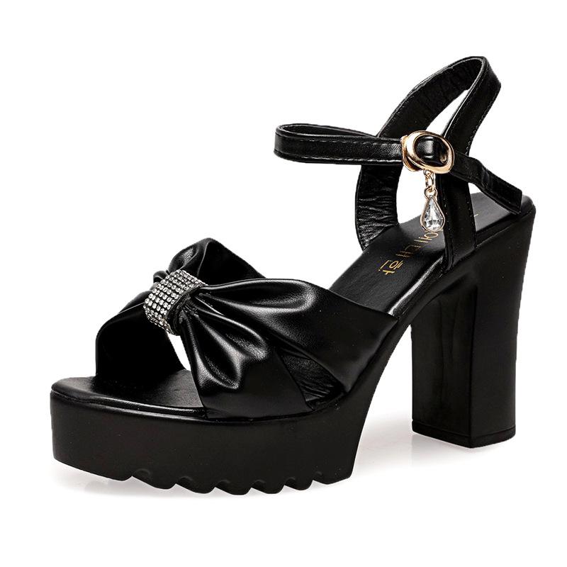 High-heeled sandals 22 temperament new waterproof platform thick-soled fashion thick-heeled model large-size catwalk shoes hot air