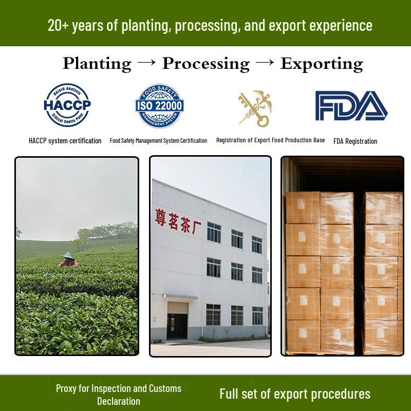 Low Pesticide Residue Jasmine Dragon Pearl Green Tea with Jasmine Flower and Rock Sugar from Guangxi