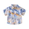Children's Short-sleeved Shirts Summer Trend Fashion Boys Fried Street Printing Foreign Style Women's Treasure Shirt Children's Clothing