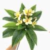 XIYUAN 35.5 Inch Artificial Flowers Artificial Frangipani Flower 2 Stems Lifelike Real Touch Artificial Plumeria Flowers for Home Party Wedding