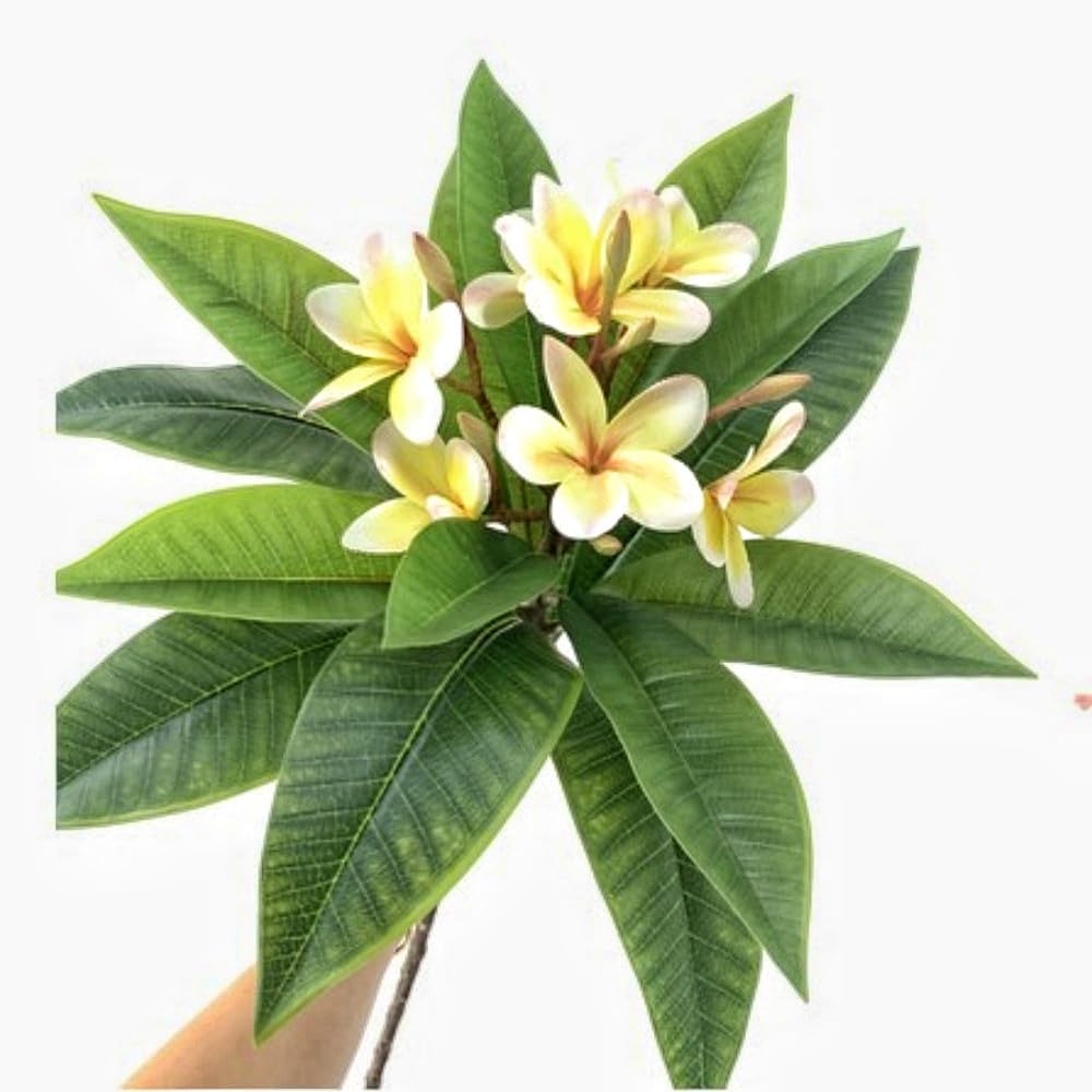XIYUAN 35.5 Inch Artificial Flowers Artificial Frangipani Flower 2 Stems Lifelike Real Touch Artificial Plumeria Flowers for Home Party Wedding