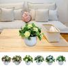 Ornament Begonia Artificial Flower Bonsai Multicolor Faux Flower Potted  Home Office Decoration