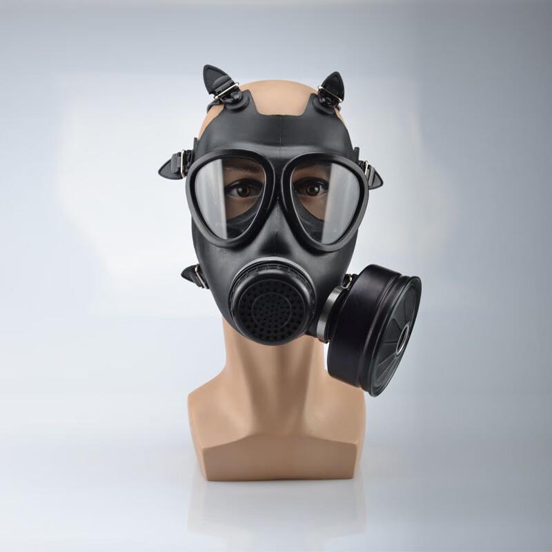 MF11B Gas Mask and Filter Kit