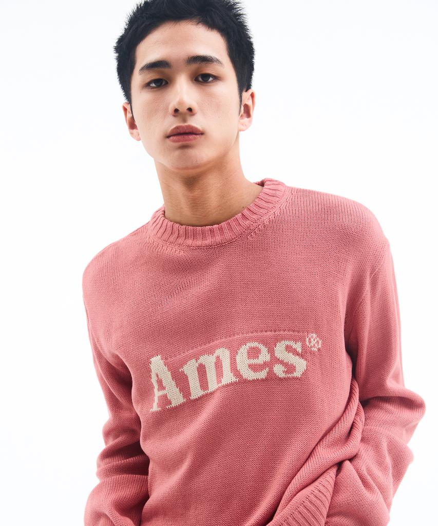 AMES-WORLDWIDE Basic Pullover Knit Pink