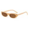 Small Frame Cat Eye Sunglasses Women Brand Designer Vintage Mirror Sun Glasses Female Personality Fashion Shades