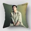 Park Seo Jun Pillow Case Satin Fabric Pillowcase Decorative Pillow Cover Wedding Decorative 0425