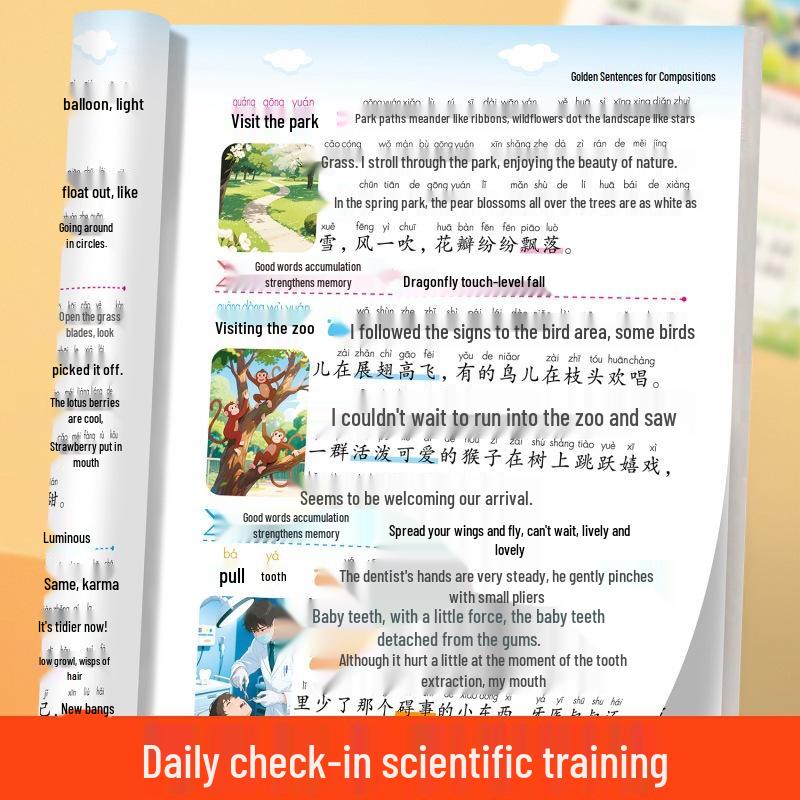 Primary School Composition: Collection of Beautiful Sentences, Vocabulary & Phrases