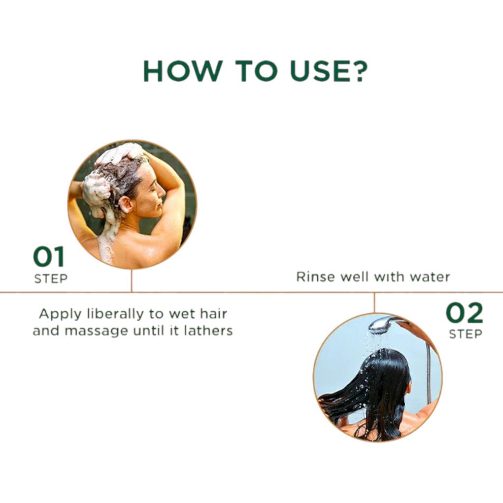 Biotique Eggplex Keratin Shampoo 300ml Für dickeres, glänzenderes Haar Beugt Haarbruch vor Proteinbehandlung Männer Frauen