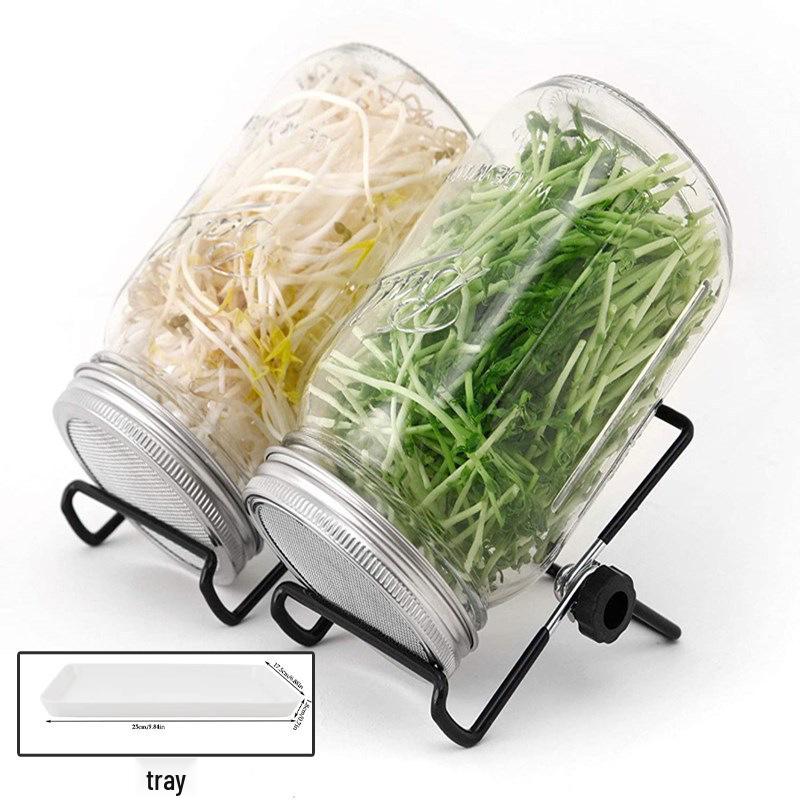 Seed Sprouting Glass Mason Jar with Stainless Steel Lid and Stand