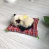 Simulation Mini Cat High Simulation Breathable Birthday Gifts Cloth Pad Plush Cats for Kids