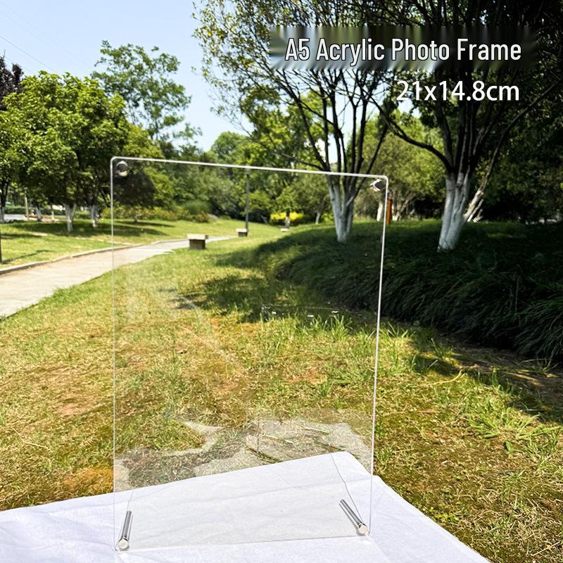 Creative Handmade DIY Dried Flower Embossed Specimen Display Acrylic Photo Frame - A4, A5, A6