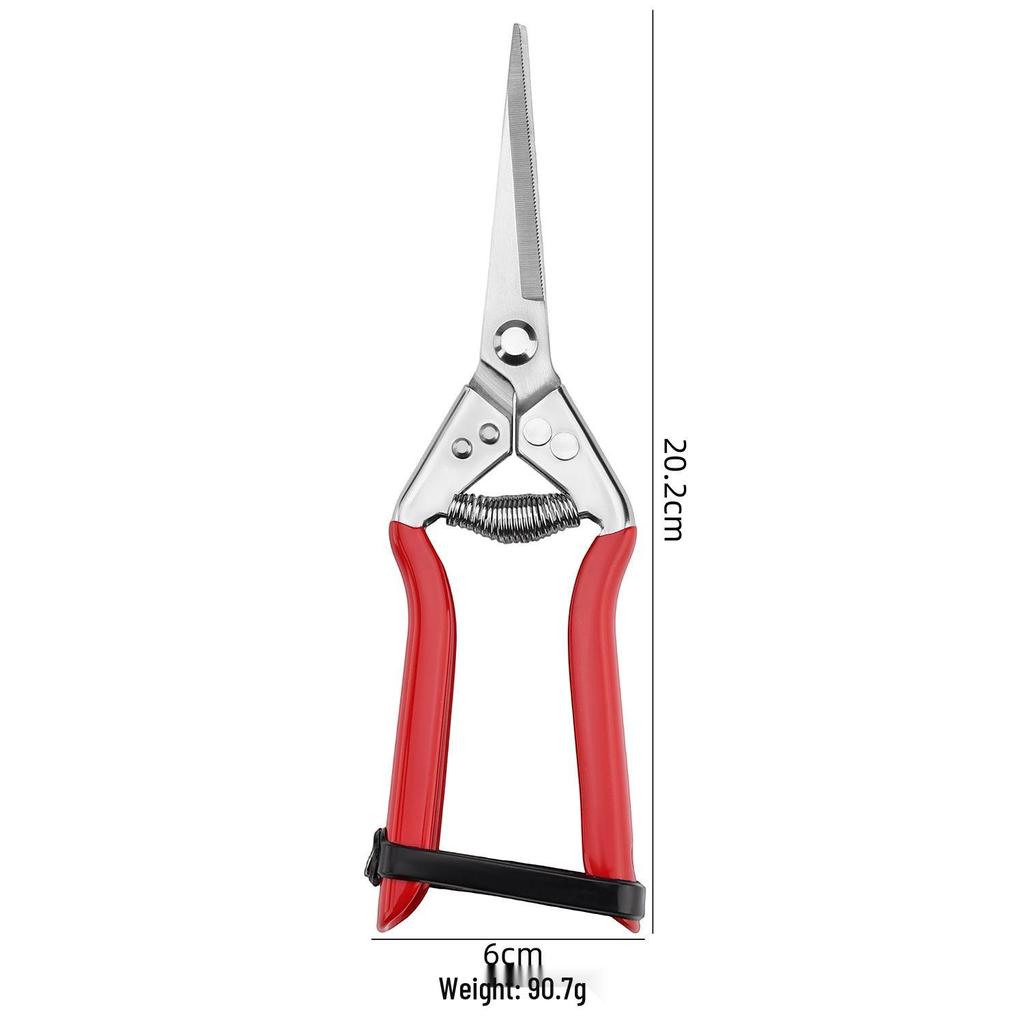 Stainless Steel Pruning Shears for Orchard and Garden