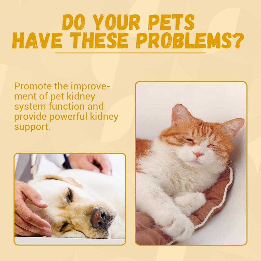 YEGBONG Doplněk stravy pro domácí zvířata Zvýšená energie Doplněk vitality pro psy a kočky Péče o tělo domácího zvířete