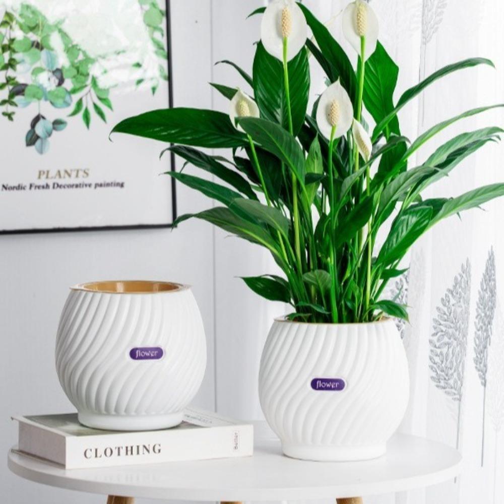 Abnehmbarer Blumentopf Kunststoff Büro Bonsai Deko Mode Hydrokultur Pflanzen Topf