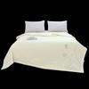 Grace Lanxi Double-Layer Foam Summer Quilt