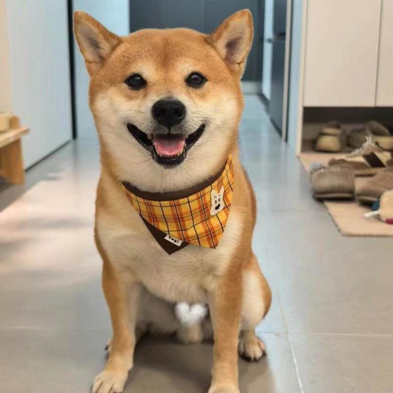 Cotton Pet Bandana Cats Dogs Triangle Scarf With Plaid All Season Use
