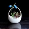 Gardening Wall Hanging Flower Pot Ceramic Creative Personality Copper Coin Grass Chlorophytum Pot Meat Plant Pot Holes