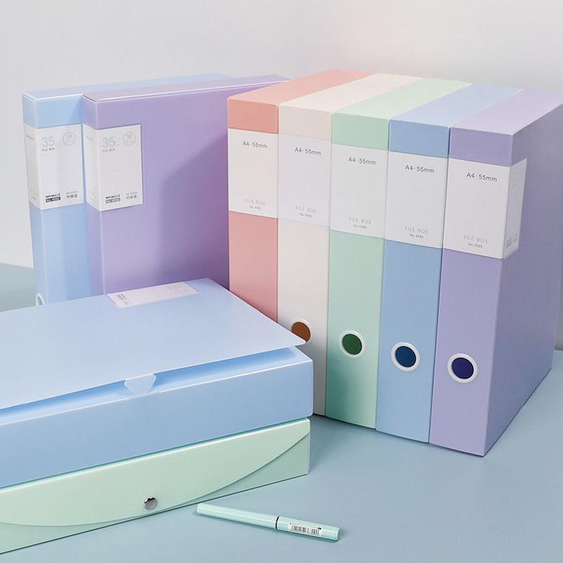 Cutie Arhivă Plastic A4 Morandi - Depozitare Durabilă pentru Dosare Studențești