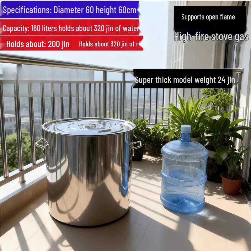 Large Stainless Steel Braising and Soup Pot
