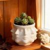 New 3D Printed Abstract Multi-Faceted Flower Pot Creatively Unique Succulent Potted Indoor Garden Balcony Outdoor Decoration