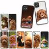 Funda Coque Cover for Samsung Galaxy A55 A56 A25 A36 A54 S8 S9 S21 S20 FE A53 A13 A12 A14 A33 A70 A71 A51 A21S Case Poodle Dog