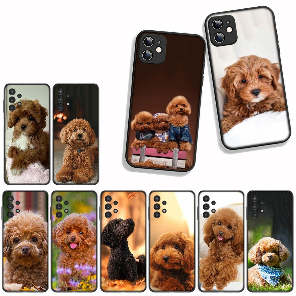 Funda Coque Cover for Samsung Galaxy A55 A56 A25 A36 A54 S8 S9 S21 S20 FE A53 A13 A12 A14 A33 A70 A71 A51 A21S Case Poodle Dog