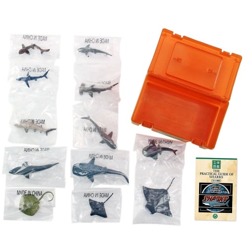 Carolata 3D Illustrated Guide to Sharks (12 Figures / Includes Instruction Manual and Stand) Realistic Toy (Educational Toy) Birthday Gift (Food Sanit