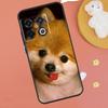Pomeranian Dogs Dog Colorful Case For OnePlus 13R 12R 10R 13T 15 13 12 11 10T 8T Nord CE 4 3 2 Lite N20 N30 Nord 5 Funda