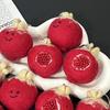 Handmade Pomegranate Wool Felt Bag Charm Keychain Ornament