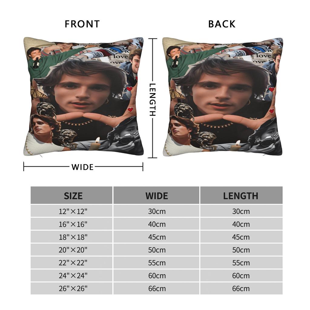 Jacob Elordi Pillow Cover  Comfy Cushion Cover Funny Pillow Case For Living Room Chair