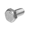 Cedrus Blade Screw Tiller Gl01 030398