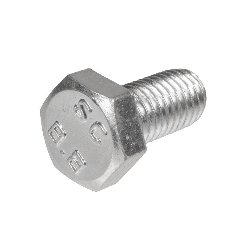 Cedrus Blade Screw Tiller Gl01 030398