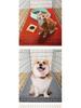 Waterproof Non-slip Pet Mat: Scratch & Dirt-Resistant, Easy-to-Clean Washable Mat for Cats & Dogs