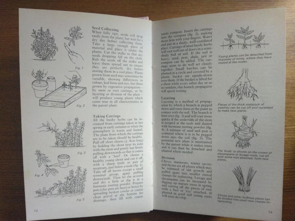 [USED] Defective Plant Encyclopedia Herbs Foreign Books HERBS Botanical Art
