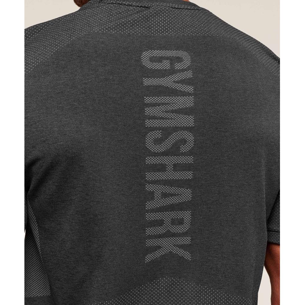 Gymshark LighTweighT Seamless T shirT Black silhoueTTe Grey A2c7m Bbmw