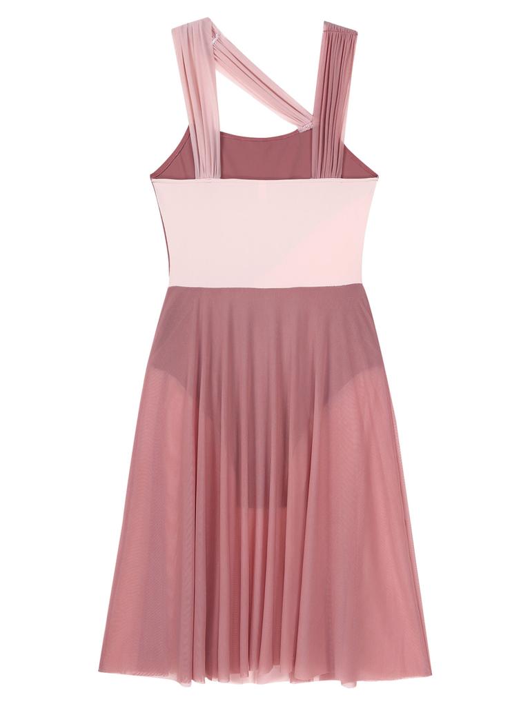 Ärmlös färgblock Balett Dans Gymnastik Body Mesh Overlay Balett Samtida Dansklänning Lyrisk Leotard Performance Kostym