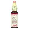 Originalflower Remedies, Star of Bethlehem, 10Ml(0.35Fl Oz)